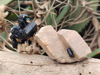 Natural Schorl Black Tourmaline Specimens x 19 From Erongo, Namibia