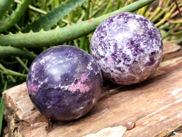 Polished Lepidolite with Pink Rubellite Spheres x 4 From Ambatondrazaka, Madagascar