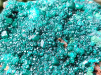 Natural Dioptase Cabinet Specimen x 1 From Reneville Brazzaville, Congo