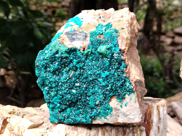 Natural Dioptase Cabinet Specimen x 1 From Reneville Brazzaville, Congo