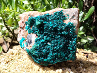 Natural Dioptase Cabinet Specimen x 1 From Reneville Brazzaville, Congo