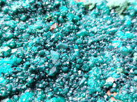 Natural Dioptase Cabinet Specimen x 1 From Reneville Brazzaville, Congo