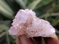 Natural Ametrine Spirit Quartz Clusters x 21 From Boekenhouthoek, South Africa