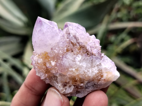 Natural Ametrine Spirit Quartz Clusters x 21 From Boekenhouthoek, South Africa