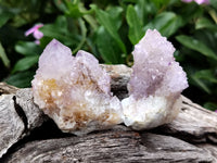 Natural Ametrine Spirit Quartz Clusters x 21 From Boekenhouthoek, South Africa