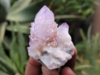 Natural Ametrine Spirit Quartz Clusters x 21 From Boekenhouthoek, South Africa