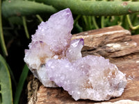 Natural Ametrine Spirit Quartz Clusters x 21 From Boekenhouthoek, South Africa