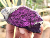 Polished On One Side Purpurite x 12 From Namibia