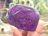 Polished On One Side Purpurite x 12 From Namibia