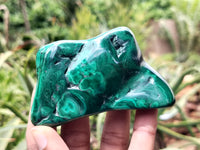 Polished Flower Banded Malachite Free Forms x 6 From Congo