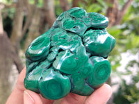 Polished Flower Banded Malachite Free Forms x 6 From Congo