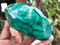 Polished Flower Banded Malachite Free Forms x 6 From Congo