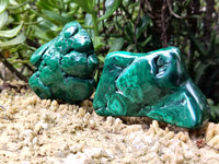 Polished Flower Banded Malachite Free Forms x 6 From Congo