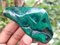 Polished Flower Banded Malachite Free Forms x 6 From Congo