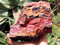 Natural Red Jasper Cobbed Specimens x 2 From Northern Cape, South Africa