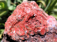 Natural Red Jasper Cobbed Specimens x 2 From Northern Cape, South Africa