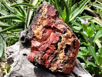 Natural Red Jasper Cobbed Specimens x 2 From Northern Cape, South Africa