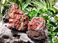 Natural Red Jasper Cobbed Specimens x 2 From Northern Cape, South Africa