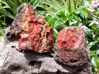 Natural Red Jasper Cobbed Specimens x 2 From Northern Cape, South Africa