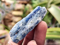 Natural Kyanite Crystals x 2 Kg Lot From Zimbabwe