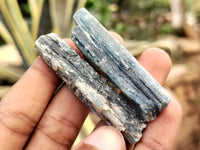 Natural Kyanite Crystals x 2 Kg Lot From Zimbabwe