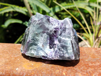 Natural Watermelon Fluorite Cobbed Specimens x 6 From Uis, Namibia