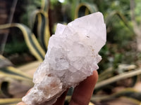 Natural Cactus Spirit Quartz Clusters x 24 From Boekenhouthoek, South Africa