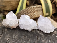 Natural Cactus Spirit Quartz Clusters x 24 From Boekenhouthoek, South Africa