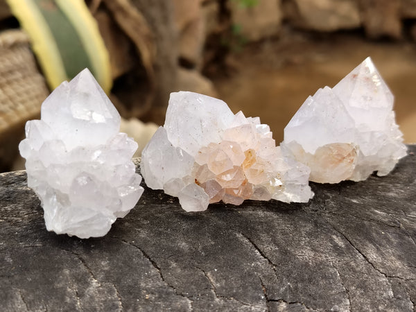 Natural Cactus Spirit Quartz Clusters x 24 From Boekenhouthoek, South Africa