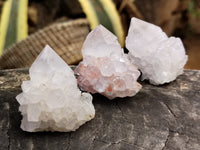 Natural Cactus Spirit Quartz Clusters x 24 From Boekenhouthoek, South Africa