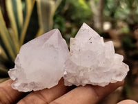 Natural Cactus Spirit Quartz Clusters x 24 From Boekenhouthoek, South Africa