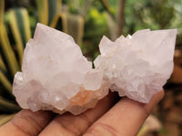 Natural Cactus Spirit Quartz Clusters x 24 From Boekenhouthoek, South Africa