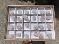 Natural Cactus Spirit Quartz Clusters x 24 From Boekenhouthoek, South Africa