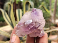 Natural Royal Zulu Amethyst Crystals x 12 from KwaZulu Natal, South Africa