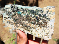 Natural Libethenite Crystals On Dolomite Matrix Specimens x 5 From Shituru, Congo