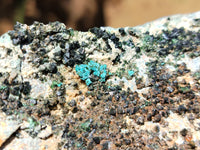 Natural Libethenite Crystals On Dolomite Matrix Specimens x 5 From Shituru, Congo