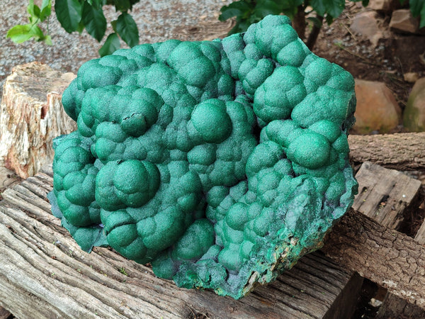 Natural Botryoidal Malachite Specimen x 1 From Congo