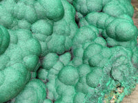 Natural Botryoidal Malachite Specimen x 1 From Congo