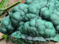 Natural Botryoidal Malachite Specimen x 1 From Congo