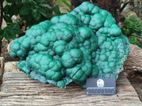 Natural Botryoidal Malachite Specimen x 1 From Congo