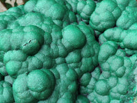 Natural Botryoidal Malachite Specimen x 1 From Congo