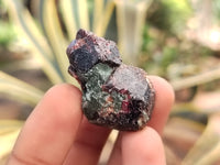 Natural Garnet Crystal Specimens x 70 From Zimbabwe