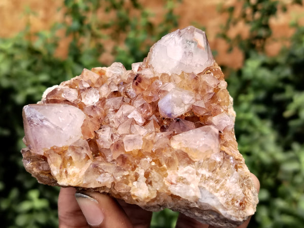 Natural Spirit Quartz Clusters x 6 From Boekenhouthoek, South Africa