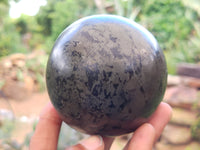 Polished Pharaoh Stone Spheres x 2 From Zimbabwe