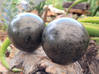 Polished Pharaoh Stone Spheres x 2 From Zimbabwe