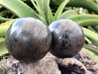 Polished Pharaoh Stone Spheres x 2 From Zimbabwe