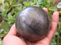 Polished Pharaoh Stone Spheres x 2 From Zimbabwe