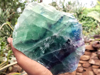 Polished On One Side Watermelon Fluorite x 2 From Uis, Namibia