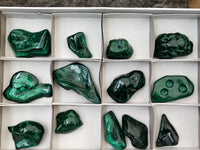 Polished Flower Banded Malachite Free Forms x 13 From Congo