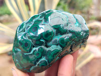 Polished Flower Banded Malachite Free Forms x 13 From Congo